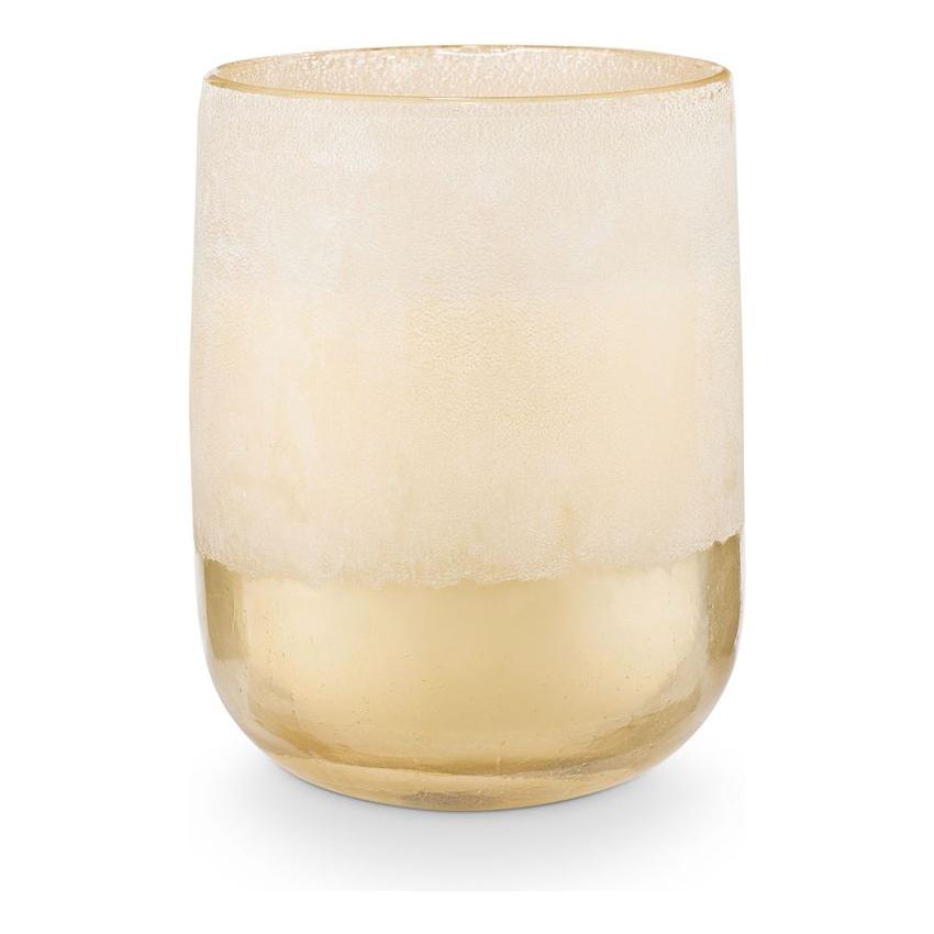 Coconut Milk Mango Mojave Glass Candle