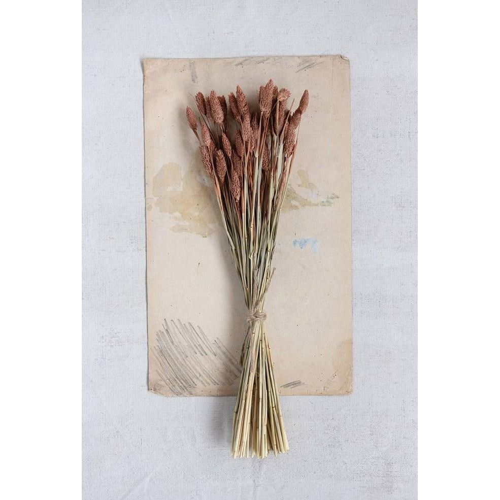 Dried Natural Canary Grass Bunch
